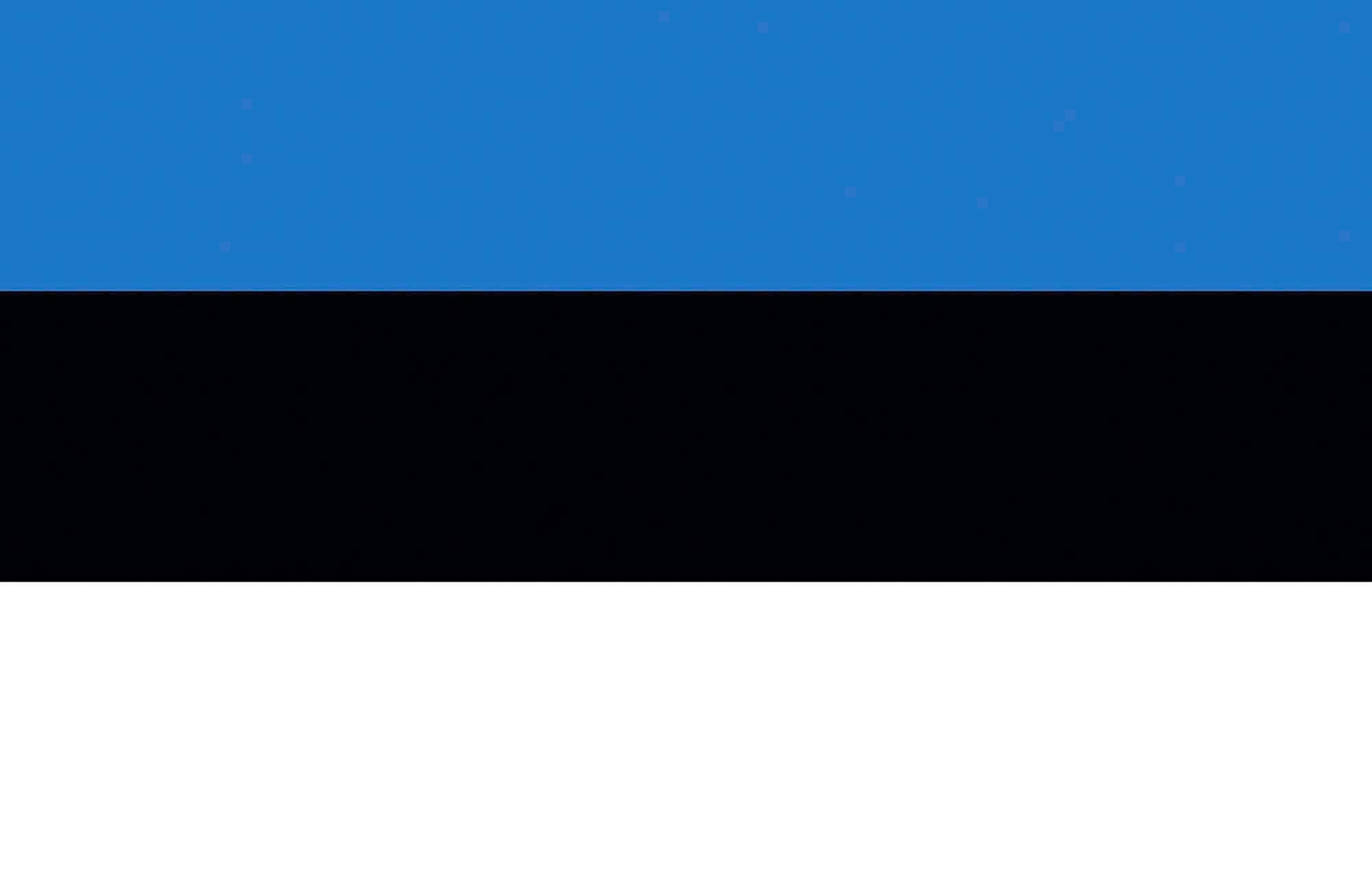 Printwear Estland Fahne 90 x 150 cm Polyester, Estonia 90 x 150 cm, FLAGEE
