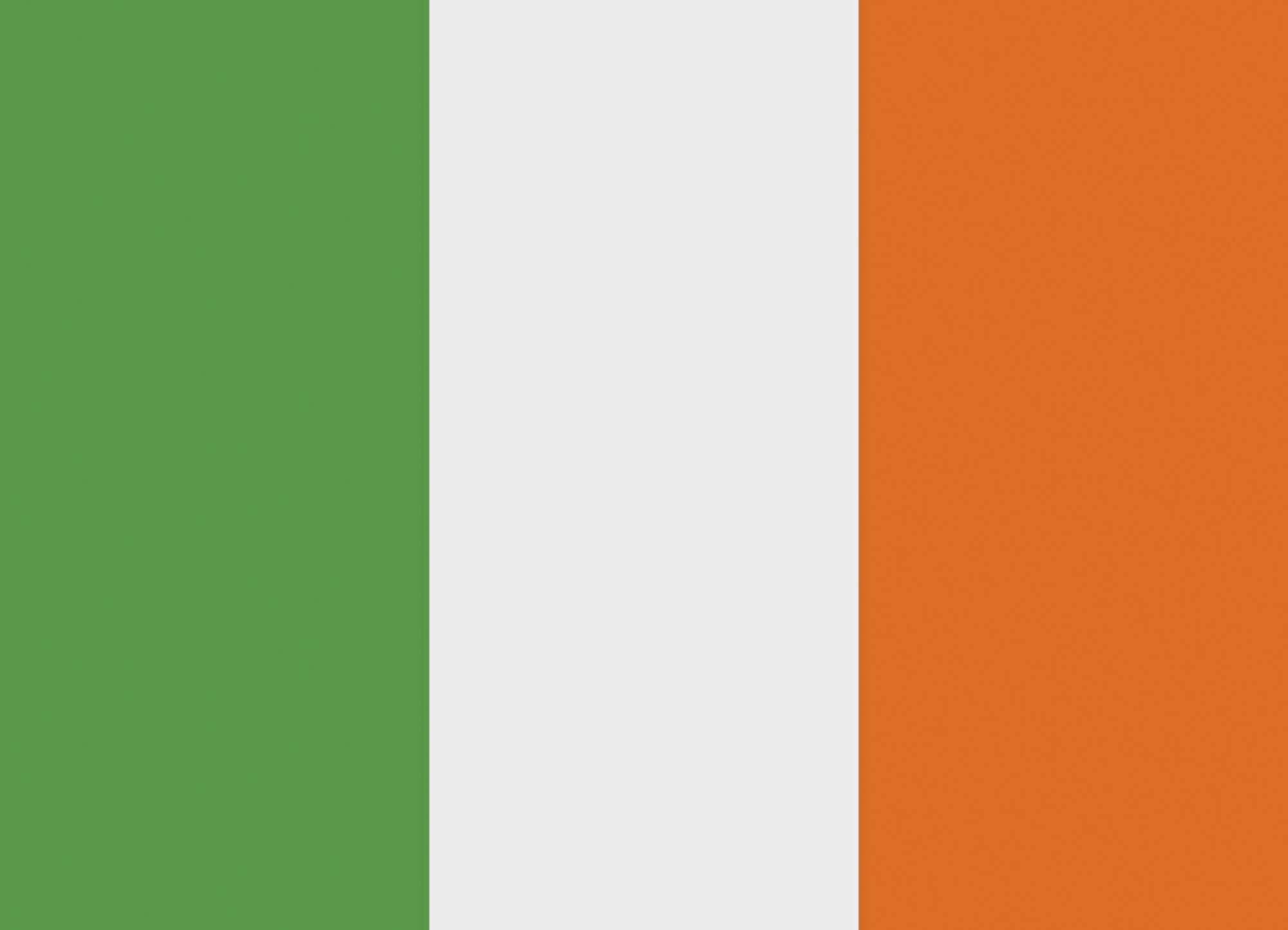 Printwear Fahne Irland 90x150 cm Polyester, Ireland 90 x 150 cm, FLAGIE