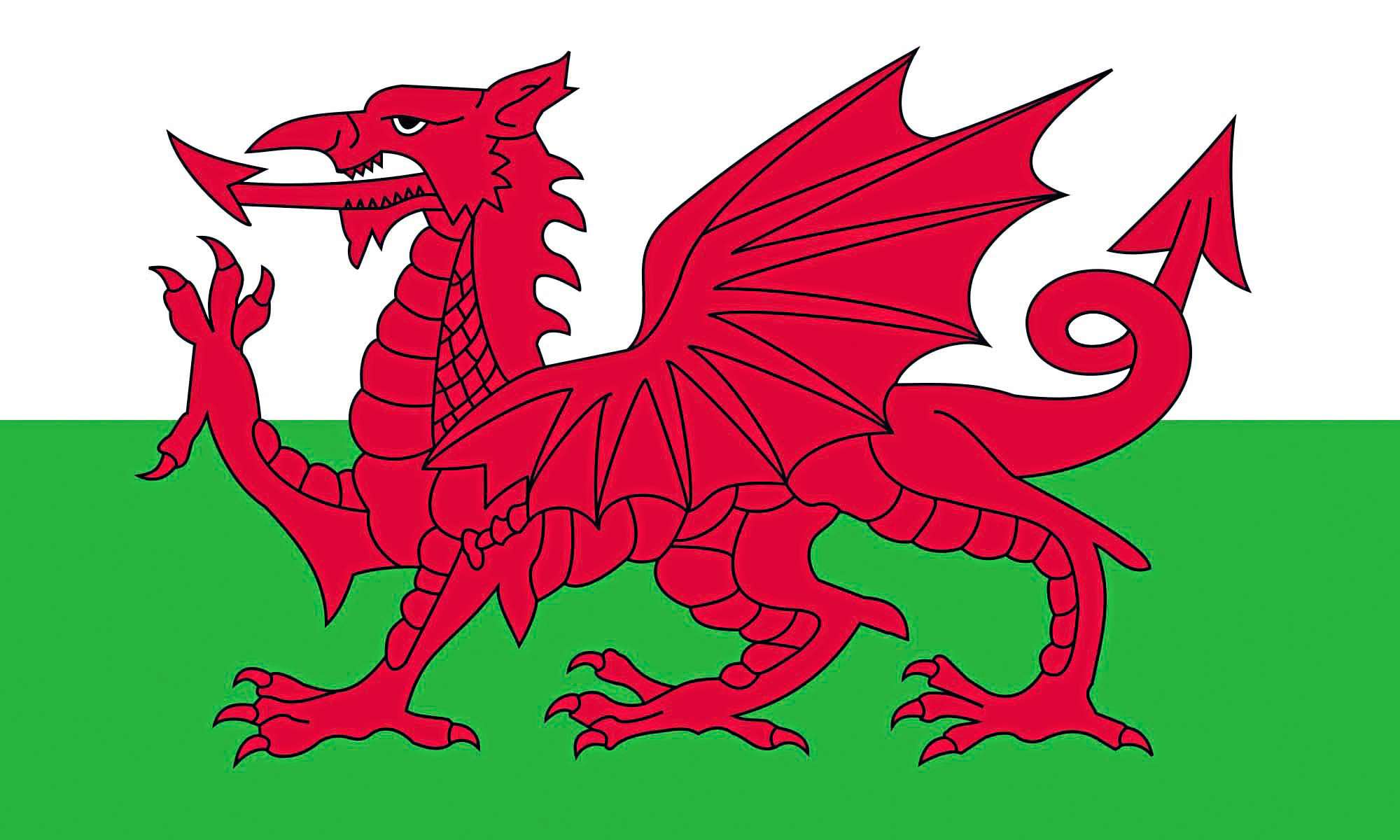 Wales Fahne 90x150 cm Polyester