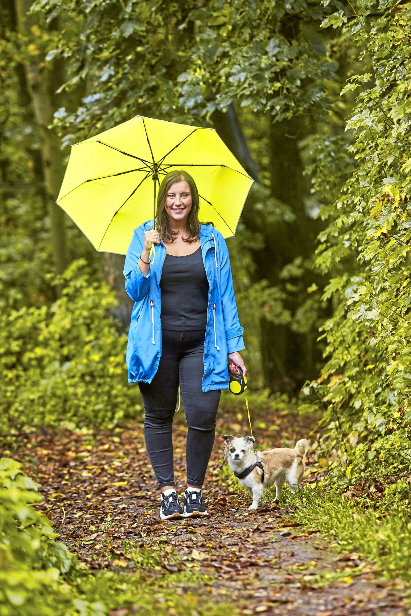 Taschenschirm mit Automatik und Windproof