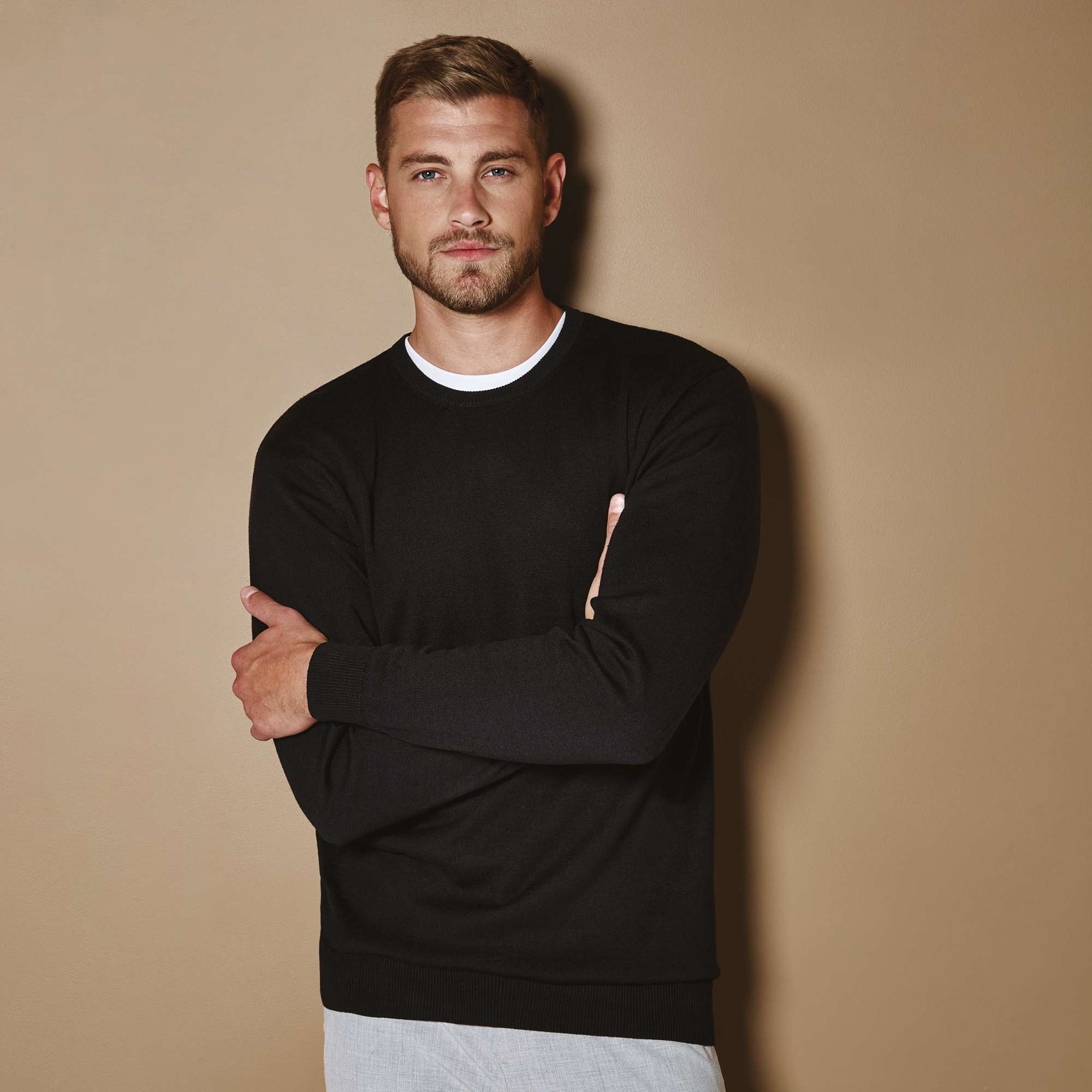 Arundel Crew Neck Pullover Regular Fit